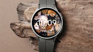 A bunch of cats - Watch Face Screenshot 3