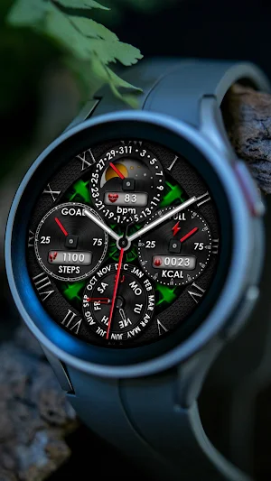 Analog Sport NTL01 Watch face Screenshot 0