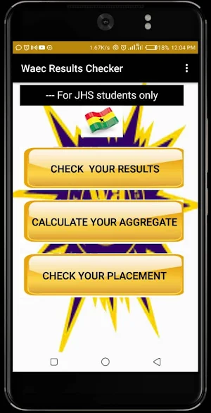WAEC Results Checker Screenshot 0