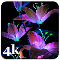Flower Live Wallpapers