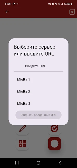 Mielta Local Screenshot 1