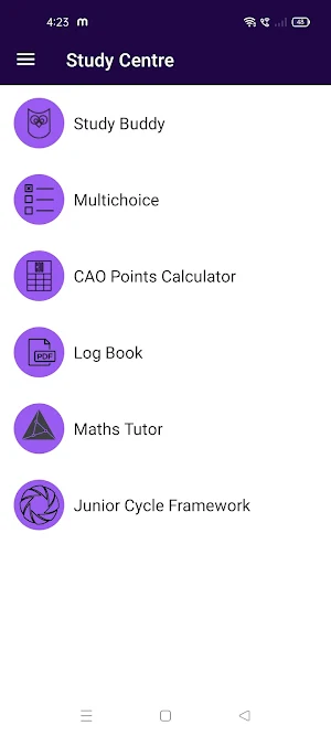 Kilkenny College Screenshot 2