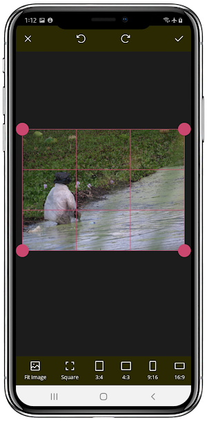 Phomo Photo Motion Maker Screenshot 3