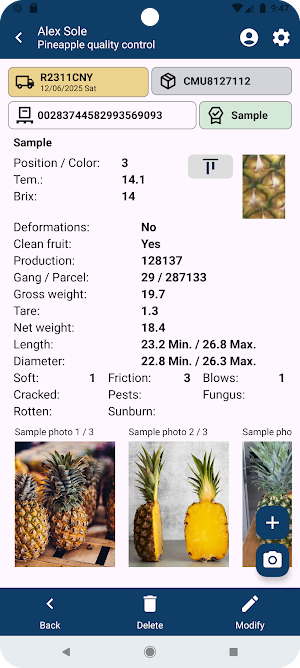 Pineapple Quality Control Screenshot 0