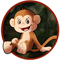 RUN MONKEY RUN