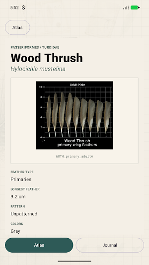 Plumes: Feather Atlas Screenshot 1