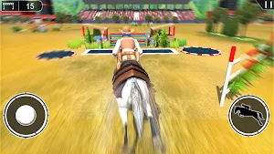 Horse Racing Sprint Fun Games Screenshot 3