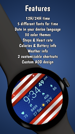 Patriot SWF 04 Screenshot 2