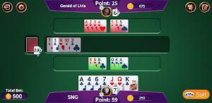 Rummy 500 - Offline Card Games Screenshot 2