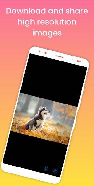 Nice dogs wallpaper Screenshot 3