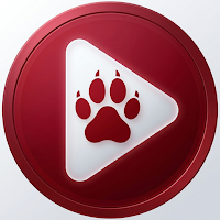 Bear Player: Movies & TV