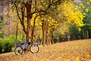 Giant Bicycle Wallpapers Screenshot 1