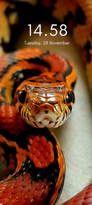 Aesthetic Snakes Wallpaper 4K Screenshot 1