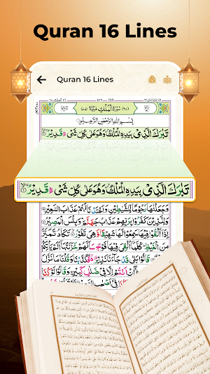 Daily Quran Majeed Offline App Screenshot 2