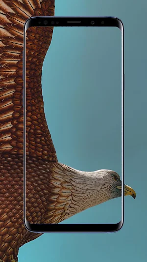 Eagle Wallpaper Screenshot 1