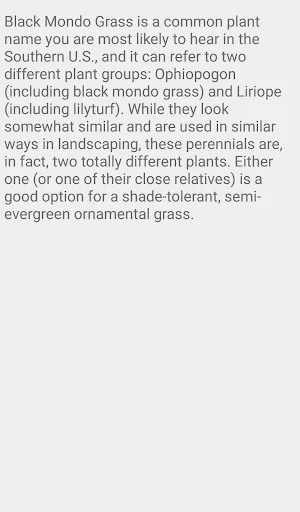 Black Mondo Grass Screenshot 1