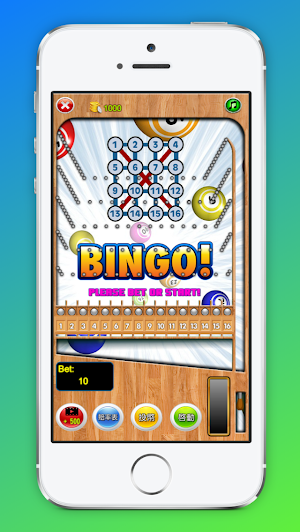 Night Market Bingo Pinball Bowling Bingo Screenshot 1