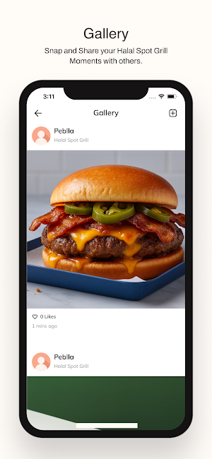 Halal Spot Grill Screenshot 3