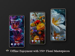 Beautiful Flower Wallpapers HD Screenshot 2