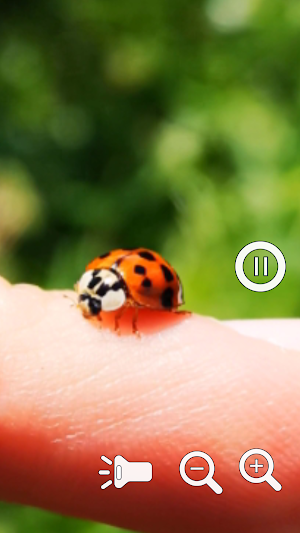 Magnifying Glass Zoom Pro 2 Screenshot 0