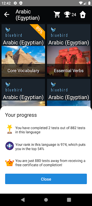 Egyptian Arabic Language Tests Screenshot 2
