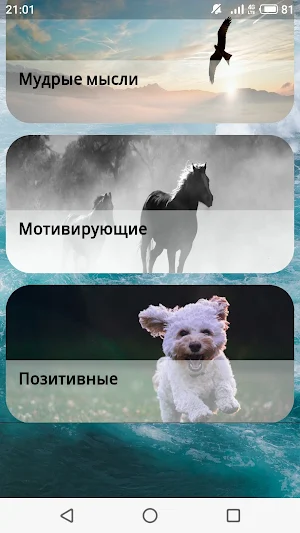 Мудрые мысли и слова о жизни Screenshot 0