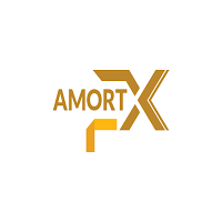 Amortissement - FinexApp