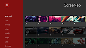 Screeneo Screenshot 1
