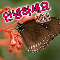 Korean Good Morning Everyday