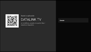 Datalink TV Screenshot 2