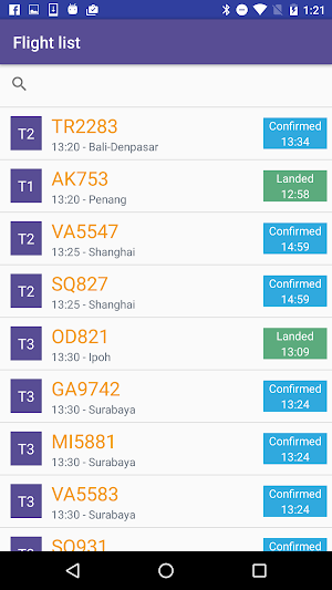 Changi Airport Flight Status Screenshot 1