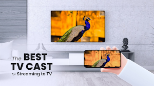 Samsung Smart View - Cast Screenshot 1