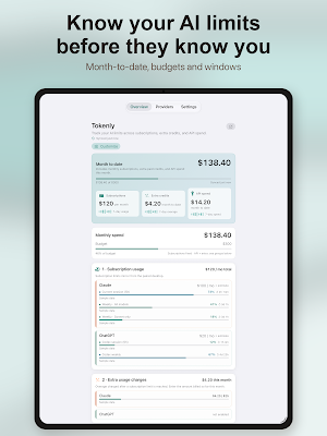 Tokenly: AI Usage Tracker Screenshot 3
