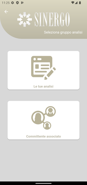 Sinergo Screenshot 3