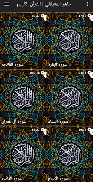 قرآن كامل بصوت ماهر المعيقلي Screenshot 2