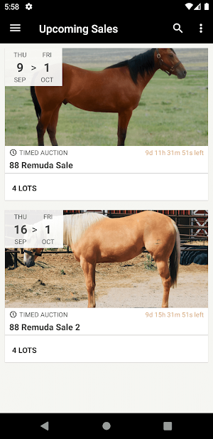 88 Remuda Sale Screenshot 0