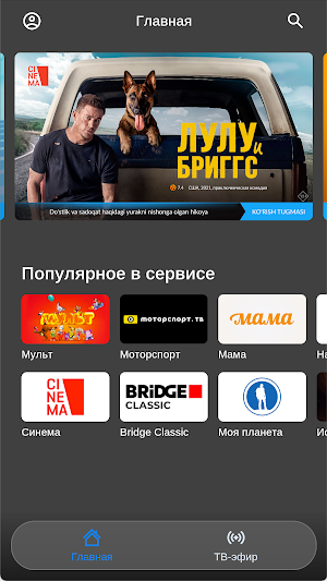 TelecomTV uz Screenshot 0