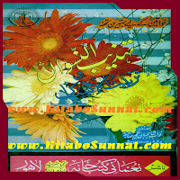 تہذیب النسواں و تربیت الانسان