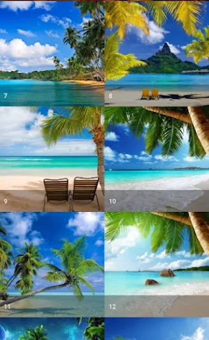 Tropical Wallpaper Screenshot 2