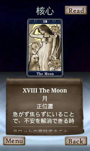 TAROT READING Screenshot 2