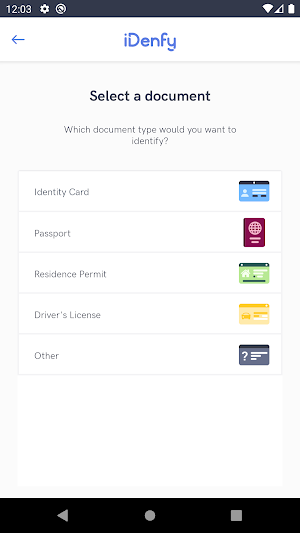 iDenfy Identity Verification Screenshot 2