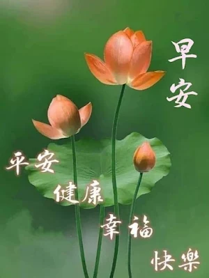 早安-早上好 早安问候图片祝福图片 晚安问候 新年祝福 Screenshot 1