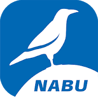 NABU Vogelwelt - Vögel Entdecken und Bestimmen