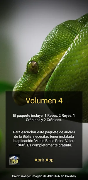 Pack4 Lectura Bíblica Screenshot 1