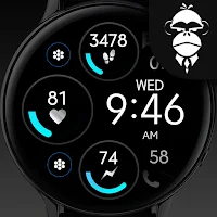 Digital Black Watch Face