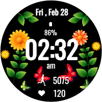 Butterfly Digital Watch Face