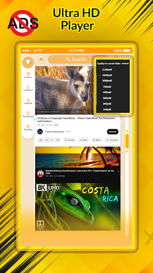Daily Tube - Daily Player App Screenshot 2
