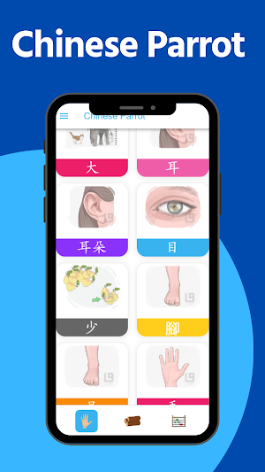 Chinese Parrot Screenshot 3
