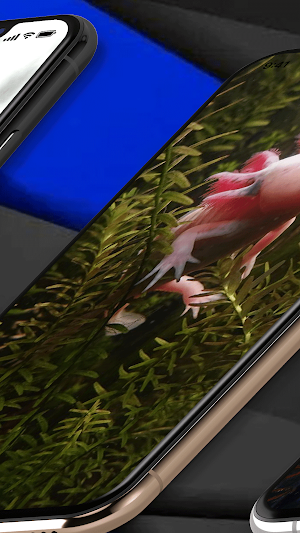 Axolotl Wallpaper Real Screenshot 2