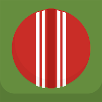 Cricket Practice